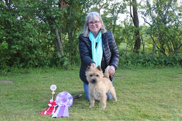 Zalazar Cairn Terrier