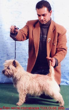 Zalazar La Bonne