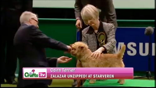 uzi2010crufts.png